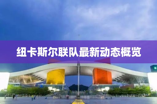 紐卡斯?fàn)柭?lián)隊(duì)最新動(dòng)態(tài)概覽