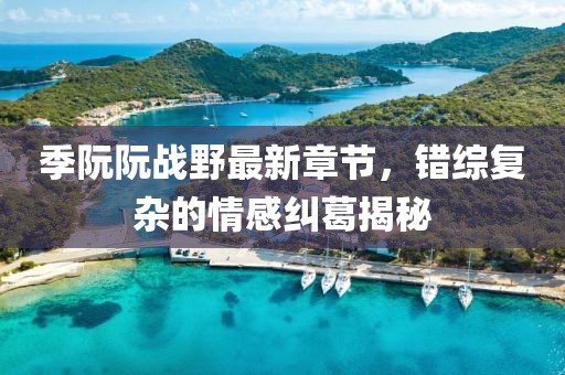 季阮阮戰(zhàn)野最新章節(jié)，錯綜復雜的情感糾葛揭秘