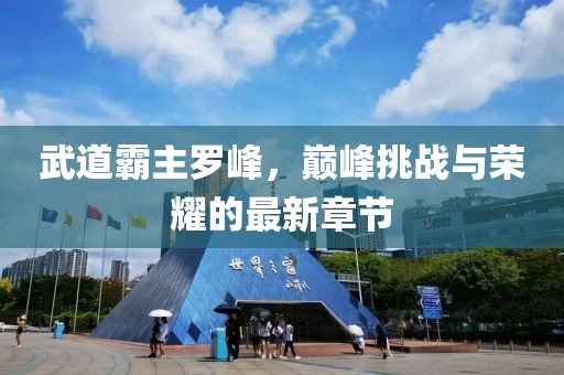 武道霸主羅峰，巔峰挑戰(zhàn)與榮耀的最新章節(jié)
