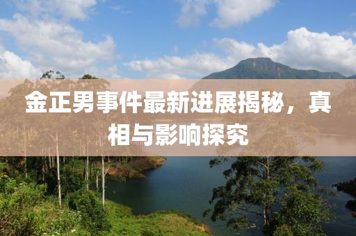 金正男事件最新進展揭秘，真相與影響探究