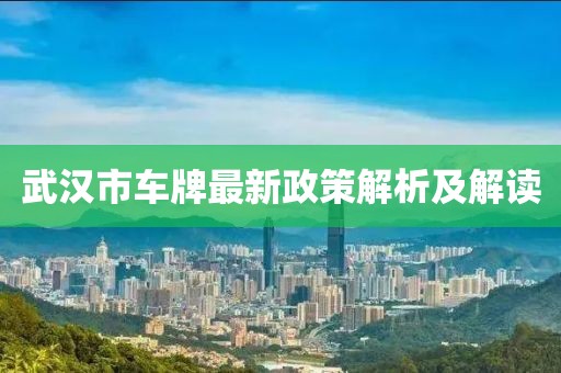 武漢市車牌最新政策解析及解讀
