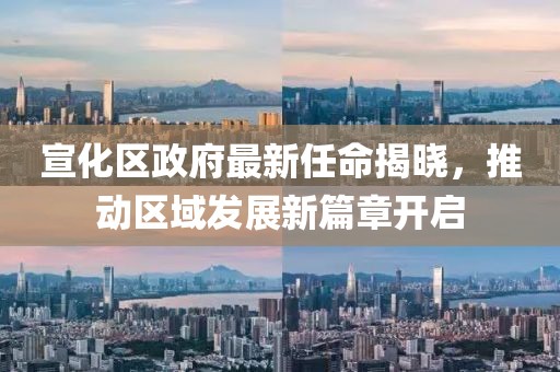 宣化區(qū)政府最新任命揭曉，推動(dòng)區(qū)域發(fā)展新篇章開啟