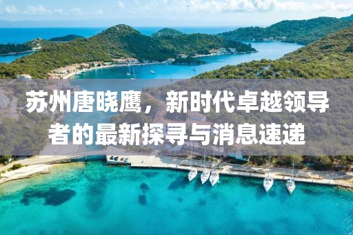 蘇州唐曉鷹，新時(shí)代卓越領(lǐng)導(dǎo)者的最新探尋與消息速遞