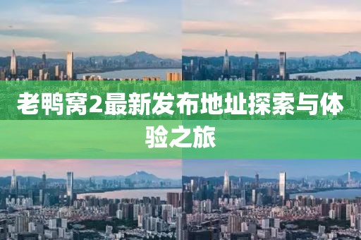 2024年12月 第11頁