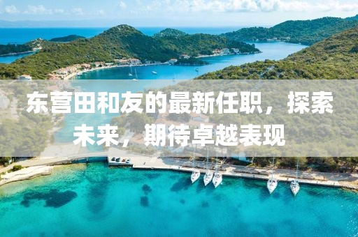 東營(yíng)田和友的最新任職，探索未來(lái)，期待卓越表現(xiàn)
