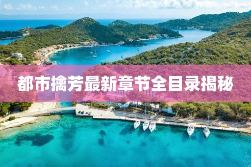都市擒芳最新章節(jié)全目錄揭秘