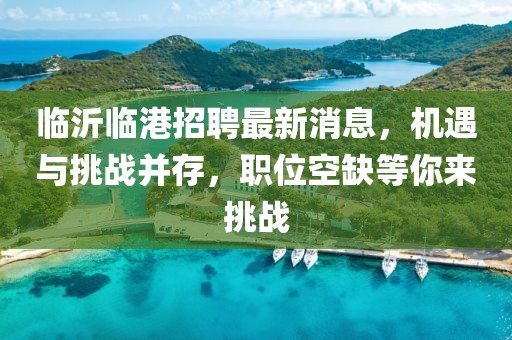 臨沂臨港招聘最新消息，機(jī)遇與挑戰(zhàn)并存，職位空缺等你來(lái)挑戰(zhàn)