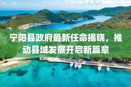 寧陽縣政府最新任命揭曉，推動(dòng)縣域發(fā)展開啟新篇章