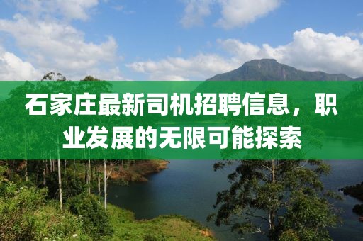 石家莊最新司機(jī)招聘信息，職業(yè)發(fā)展的無(wú)限可能探索
