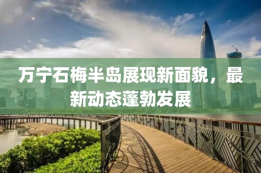萬(wàn)寧石梅半島展現(xiàn)新面貌，最新動(dòng)態(tài)蓬勃發(fā)展