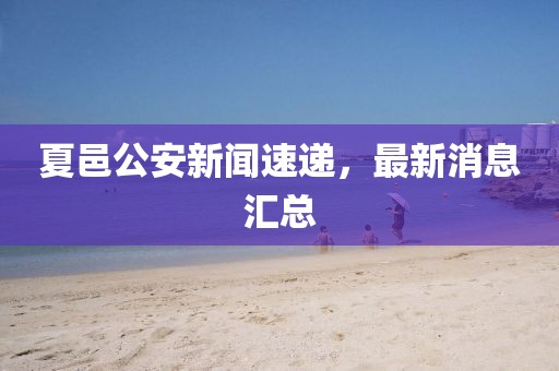 夏邑公安新聞速遞，最新消息匯總