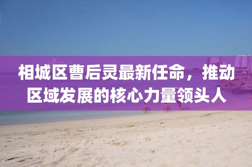 相城區(qū)曹后靈最新任命，推動區(qū)域發(fā)展的核心力量領(lǐng)頭人