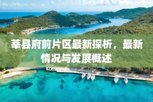 莘縣府前片區(qū)最新探析，最新情況與發(fā)展概述