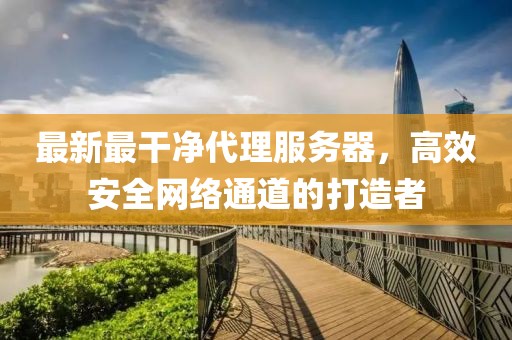 最新最干凈代理服務(wù)器，高效安全網(wǎng)絡(luò)通道的打造者