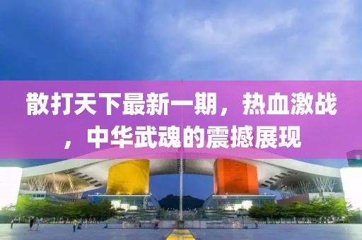 散打天下最新一期，熱血激戰(zhàn)，中華武魂的震撼展現(xiàn)