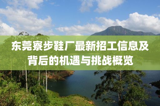 東莞寮步鞋廠最新招工信息及背后的機(jī)遇與挑戰(zhàn)概覽