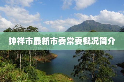 鐘祥市最新市委常委概況簡介