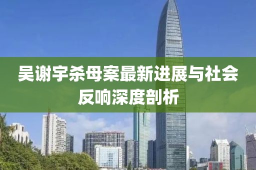 吳謝宇殺母案最新進(jìn)展與社會反響深度剖析