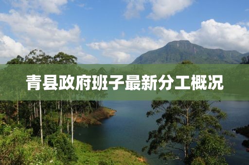 初告白 第15頁