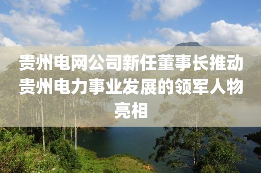 貴州電網(wǎng)公司新任董事長推動貴州電力事業(yè)發(fā)展的領軍人物亮相
