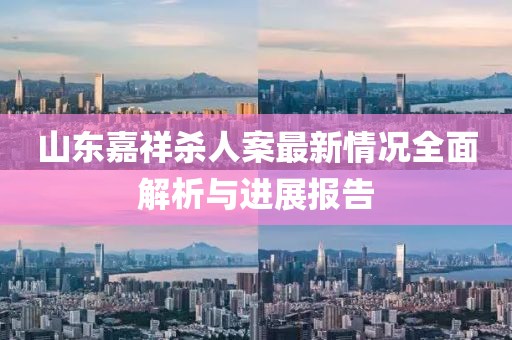 山東嘉祥殺人案最新情況全面解析與進(jìn)展報(bào)告