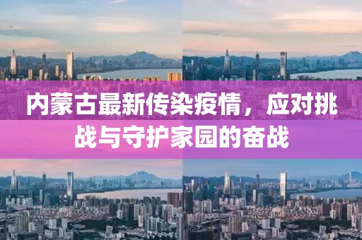 內(nèi)蒙古最新傳染疫情，應(yīng)對挑戰(zhàn)與守護(hù)家園的奮戰(zhàn)