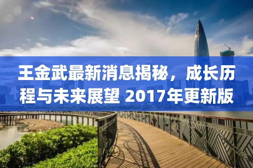王金武最新消息揭秘，成長歷程與未來展望 2017年更新版