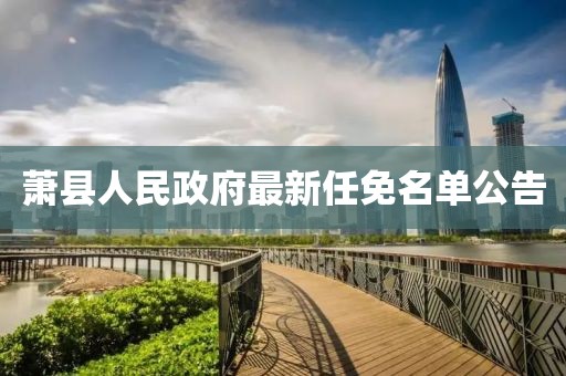 蕭縣人民政府最新任免名單公告