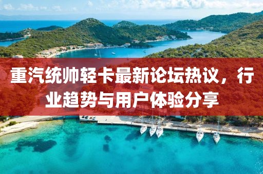 重汽統(tǒng)帥輕卡最新論壇熱議，行業(yè)趨勢與用戶體驗分享