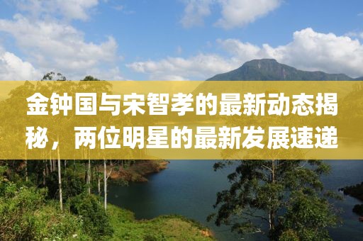 金鐘國與宋智孝的最新動態(tài)揭秘，兩位明星的最新發(fā)展速遞