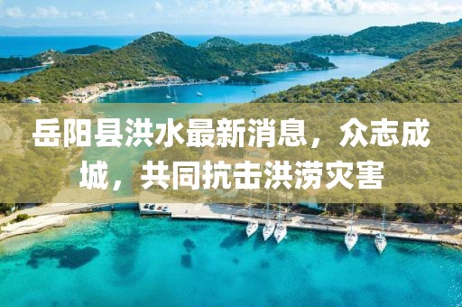 岳陽縣洪水最新消息，眾志成城，共同抗擊洪澇災害