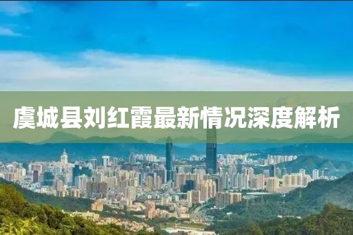虞城縣劉紅霞最新情況深度解析