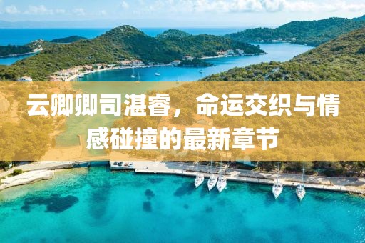 云卿卿司湛睿，命運(yùn)交織與情感碰撞的最新章節(jié)