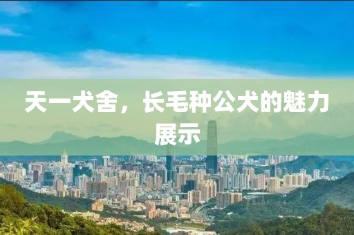 天一犬舍，長毛種公犬的魅力展示