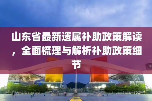山東省最新遺屬補(bǔ)助政策解讀，全面梳理與解析補(bǔ)助政策細(xì)節(jié)
