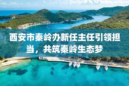 西安市秦嶺辦新任主任引領(lǐng)擔(dān)當(dāng)，共筑秦嶺生態(tài)夢(mèng)
