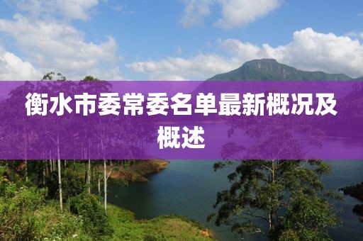 衡水市委常委名單最新概況及概述