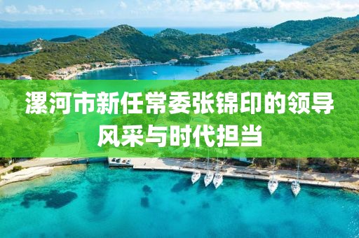 漯河市新任常委張錦印的領(lǐng)導(dǎo)風(fēng)采與時(shí)代擔(dān)當(dāng)