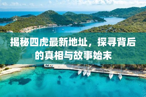 揭秘四虎最新地址，探尋背后的真相與故事始末