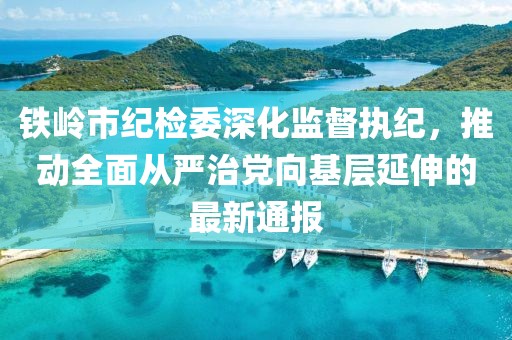 鐵嶺市紀(jì)檢委深化監(jiān)督執(zhí)紀(jì)，推動全面從嚴(yán)治黨向基層延伸的最新通報