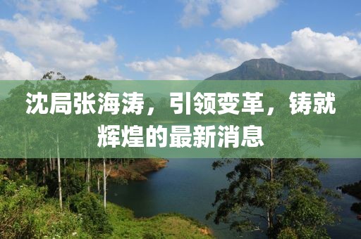 沈局張海濤，引領變革，鑄就輝煌的最新消息