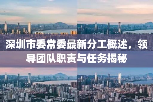 深圳市委常委最新分工概述，領(lǐng)導(dǎo)團隊職責與任務(wù)揭秘