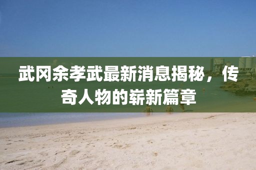 武岡余孝武最新消息揭秘，傳奇人物的嶄新篇章