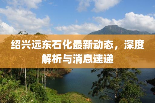 紹興遠東石化最新動態(tài)，深度解析與消息速遞