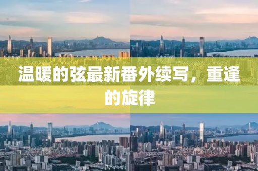 溫暖的弦最新番外續(xù)寫，重逢的旋律