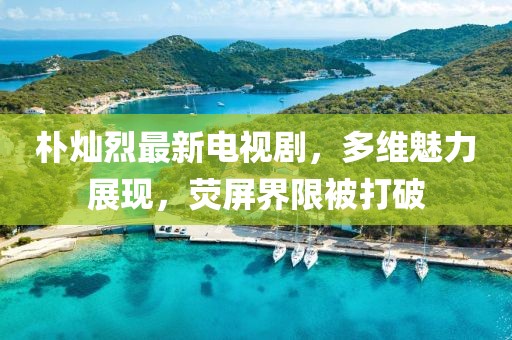 樸燦烈最新電視劇，多維魅力展現(xiàn)，熒屏界限被打破