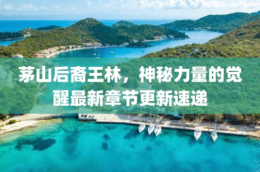 茅山后裔王林，神秘力量的覺醒最新章節(jié)更新速遞
