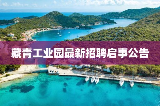 藏青工業(yè)園最新招聘啟事公告