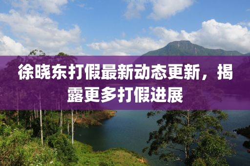 徐曉東打假最新動(dòng)態(tài)更新，揭露更多打假進(jìn)展