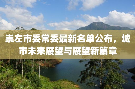 崇左市委常委最新名單公布，城市未來展望與展望新篇章
